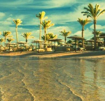 التحالف الوطني ينظم جلسة نقاشية حول دور مؤسسات المجتمع المدني في قمة المناخ السياحة