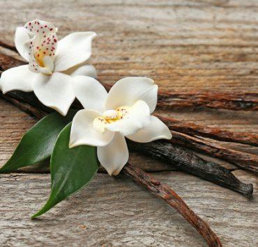 كيفية تصفح انستجرام بدون حساب أو اشتراك الفانيليا