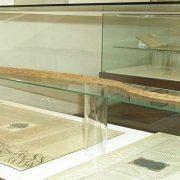 جدري القرود