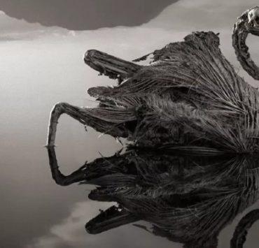 ما هي المخاوف التي تولد مع الإنسان؟ البحيرة