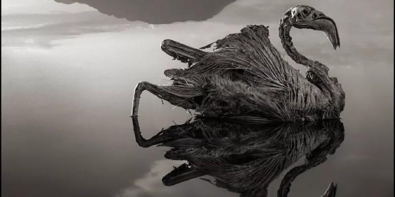 البحيرة التي تحول أي كائن حي إلى حجر البحيرة