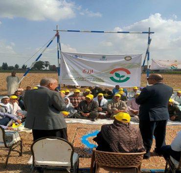 مبادرة ازرع