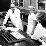 الإنفلونزا