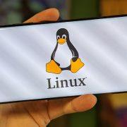 طرق تثبيت لينوكس على الاندرويد