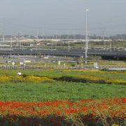 بلدة عيون قارة