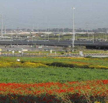 أرابيسك .. هتروح فين في ليلتك دي يا حسن بلدة عيون قارة