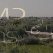 معجزة في النجع