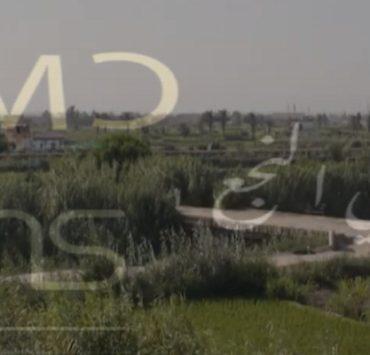 معجزة في النجع