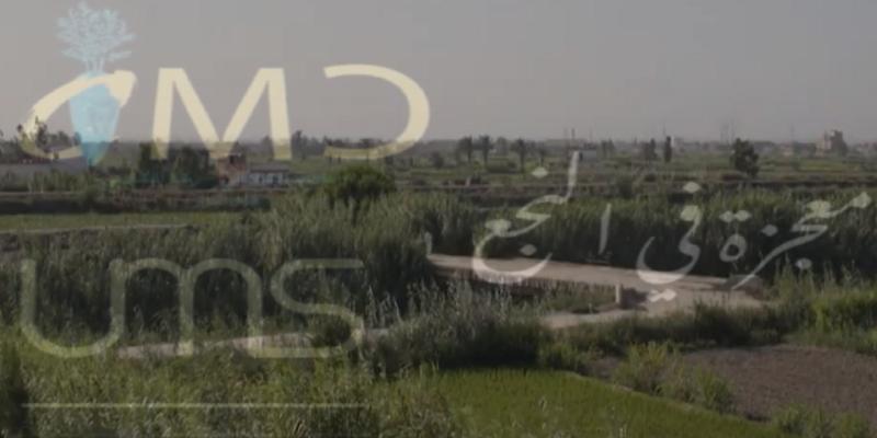 معجزة في النجع