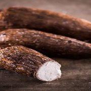 نبات الكسافا