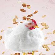 الفراخ المجمدة في مصر