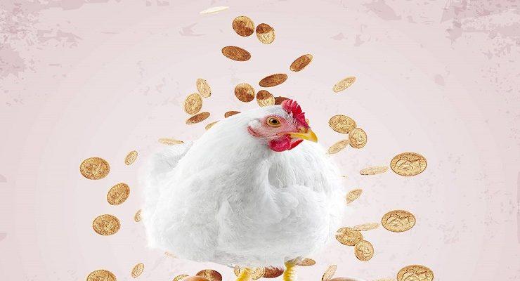 الفراخ المجمدة في مصر