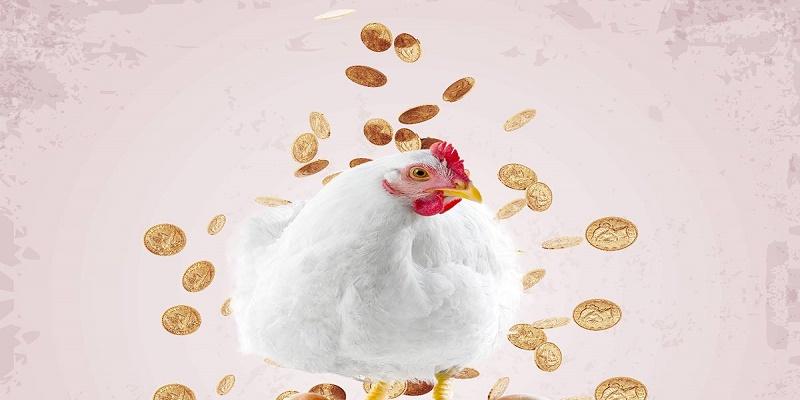 الفراخ المجمدة في مصر