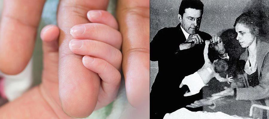 نظرية التطور