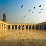 الدولة الفاطمية