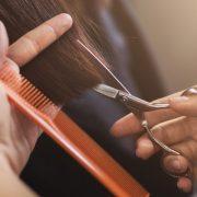 شعر الإنسان