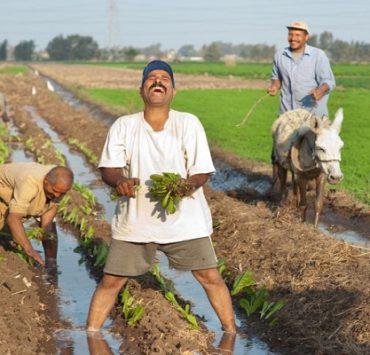 عن أغنية تجاوز لـ محمد محسن .. ضوء يلوح في أفق الأغنية المصرية المزاج المصري