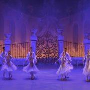 الفراخ المجمدة في مصر