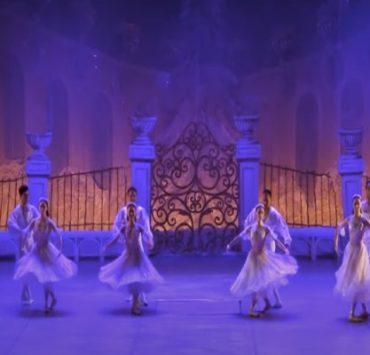 العمر كله بهاء سلطان