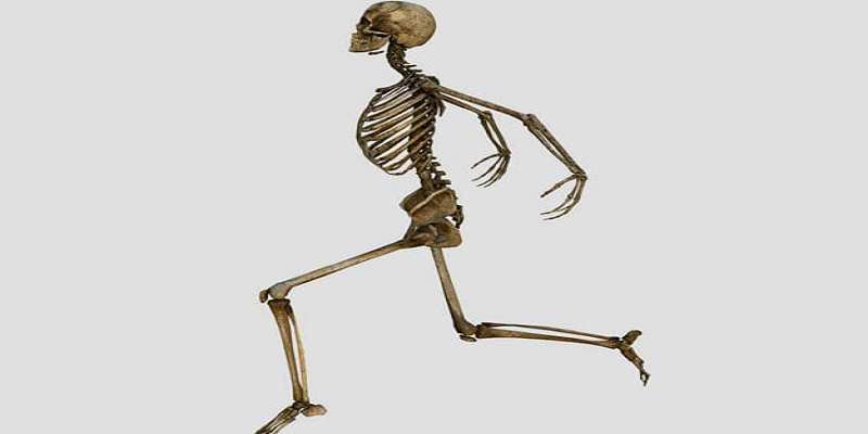 أقوى من الفولاذ