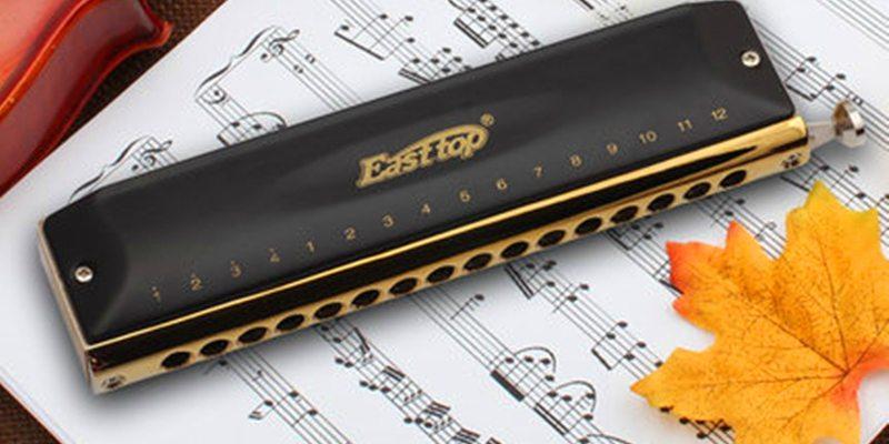 عن الهارمونيكا التي لا نحيا بدونها ولا تحيينا الهارمونيكا
