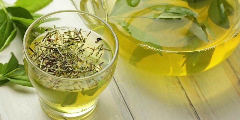 أهم وأبرز فوائد الشاي الأخضر