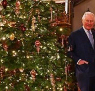 صورة وحكاية