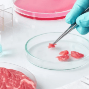 اللحوم المختبرية