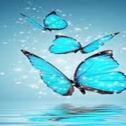 تشغيل الموسيقى على ساعة ابل