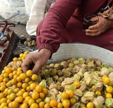 ويتني هيوستن