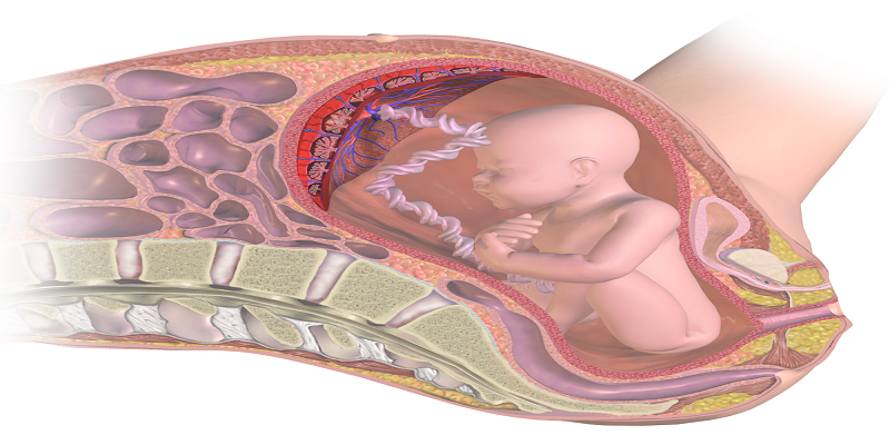 مشاركة حساب Apple TV Plus