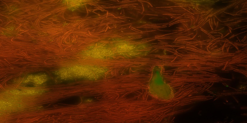 نشرة هنا افريقيا (الأسبوع الرابع من إبريل 2023) قارتنا