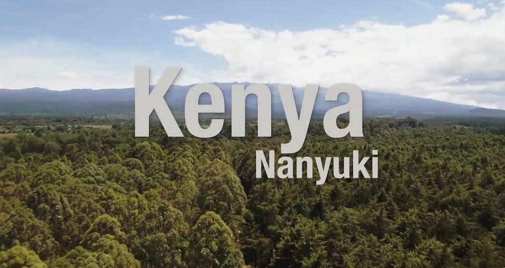 الأجهر.. أن تصنع حبكة جيدة وتقدمها بسذاجة الأجهر