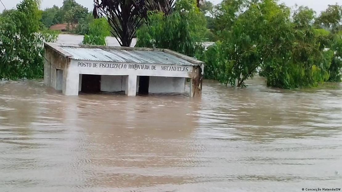 مهد البشرية