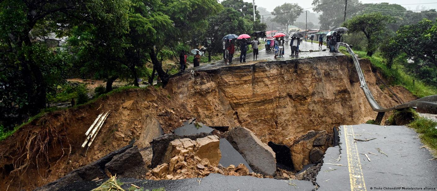 مهد البشرية
