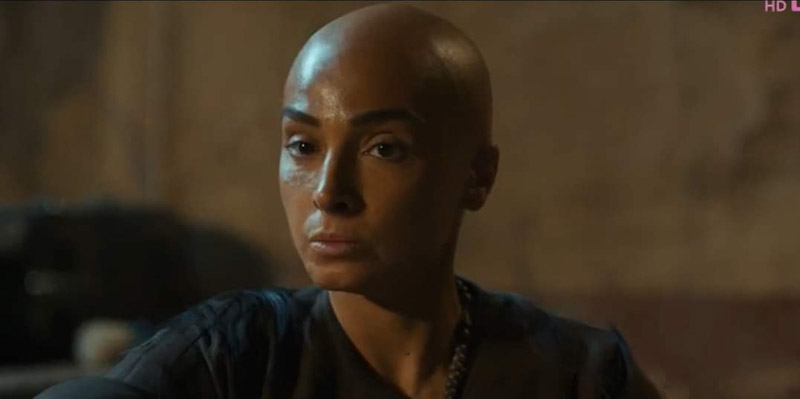 “الوضع العلمي في الفسطاط قبل الشافعي” إشارة من رسالة الإمام تستحق التفصيل الوضع العلمي في الفسطاط