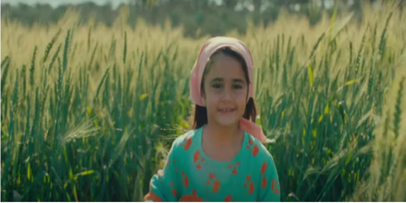 البنك الزراعي