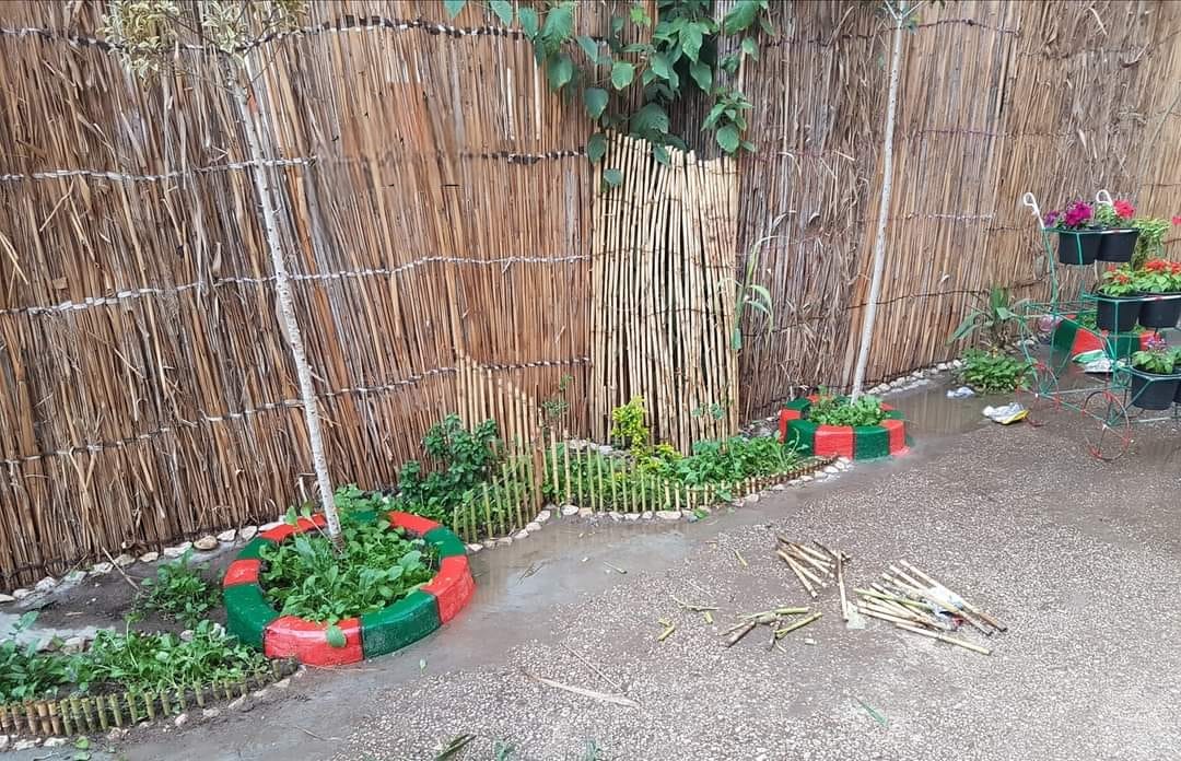 بعد ظهور شخصية حسن طوبار في سره الباتع “هل يمكن تقديره بقبر يليق؟” تزيين قبر حسن طوبار في بلده