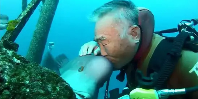 هيرويوكي أراكاوا