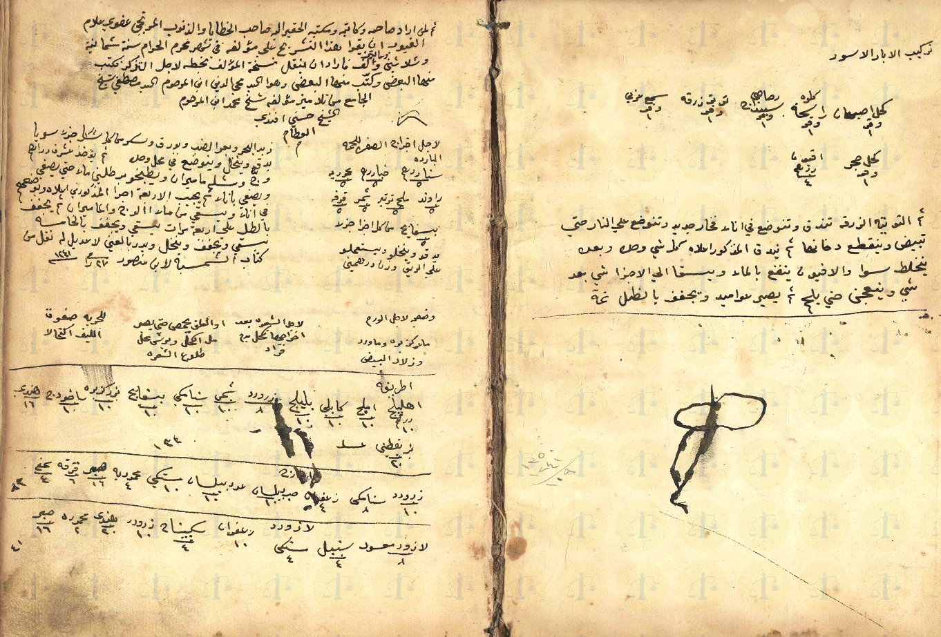 تاريخ التشريح في مصر الحديثة “هل اشترط الأزهر وجوده بتنفيذه على جثث الأقباط؟” من مخطوط شرح منظومة التشريح للعطار