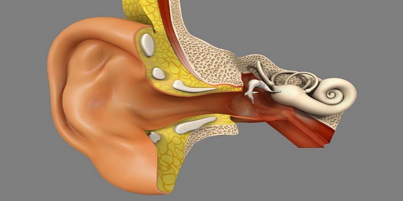 آذان الإنسان