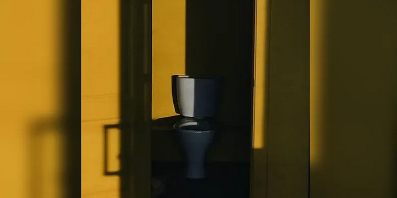 العضو الذكري