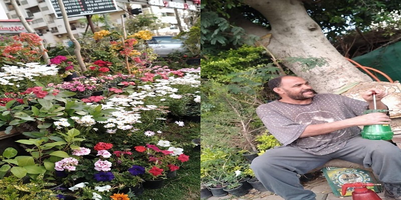 العم رمضان ومشتل الزهور