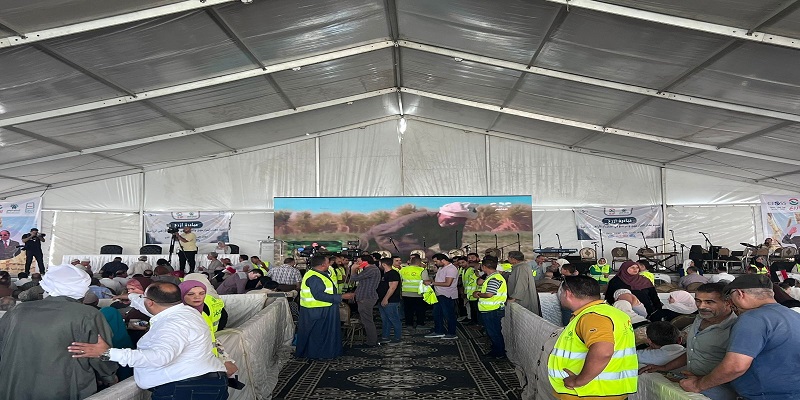 التحالف الوطني للعمل الأهلي