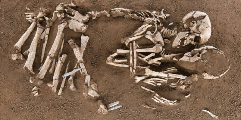 عشاق فالدارو