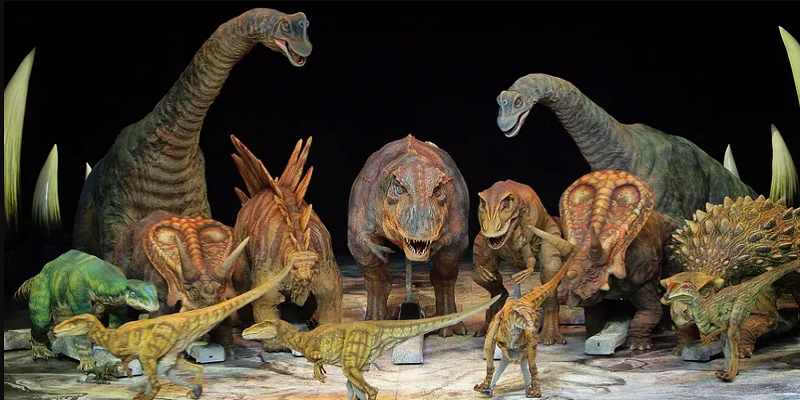 الغباء البشري