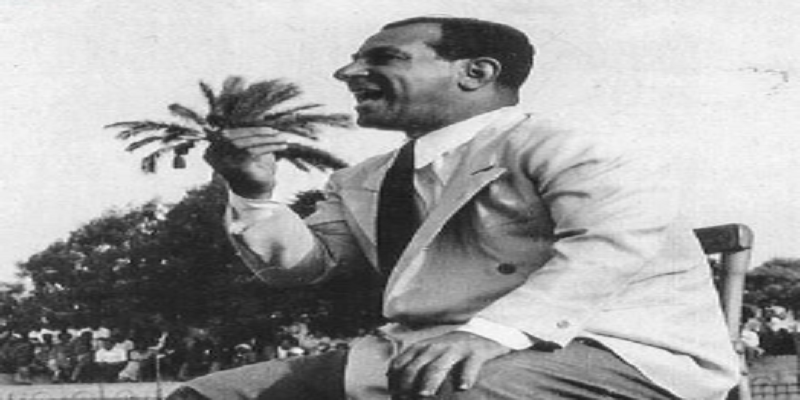 رضا عبد العال