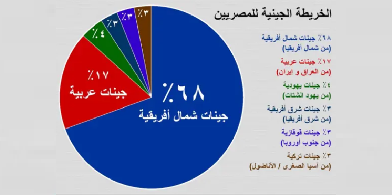 الحوار الوطني