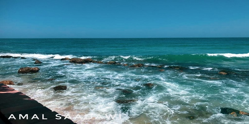 عشق التصوير في إسكندرية