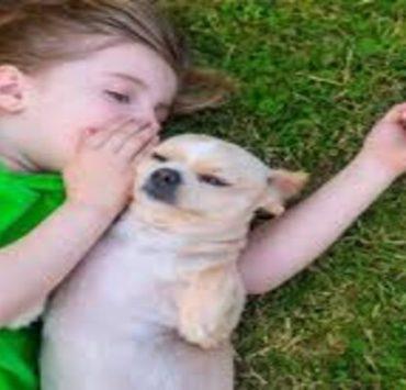 آكلو لحوم البشر.. حكاية صورة أخفاها التاريخ الحيوان الأليف